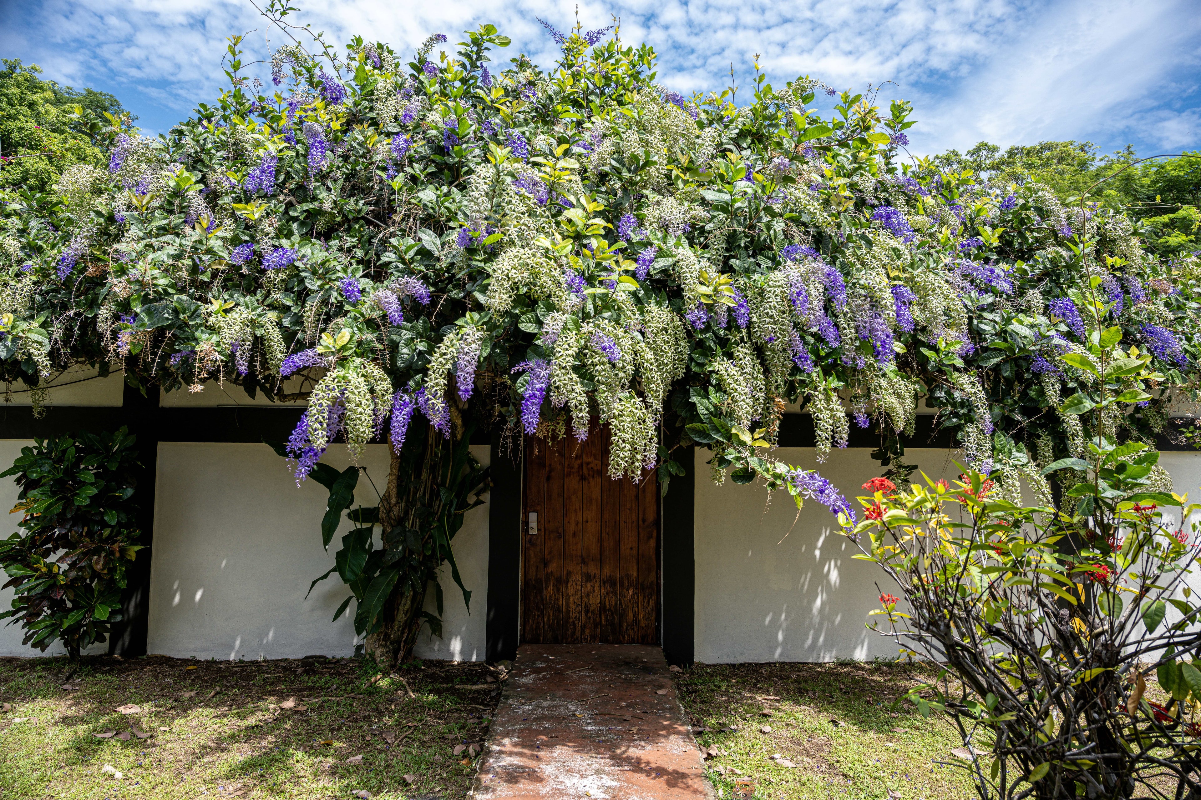 Tropical entrance to the private house in Jacó